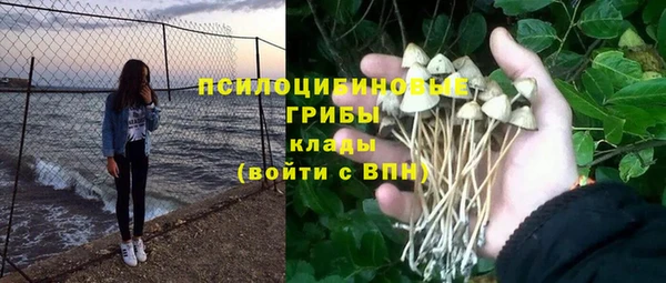 меф Алексин