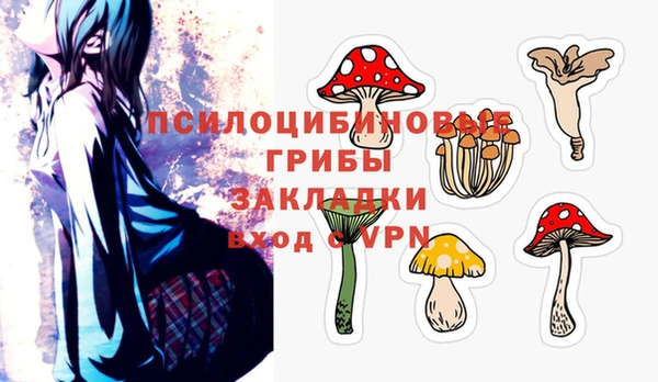 ГАЛЛЮЦИНОГЕННЫЕ ГРИБЫ Алексеевка